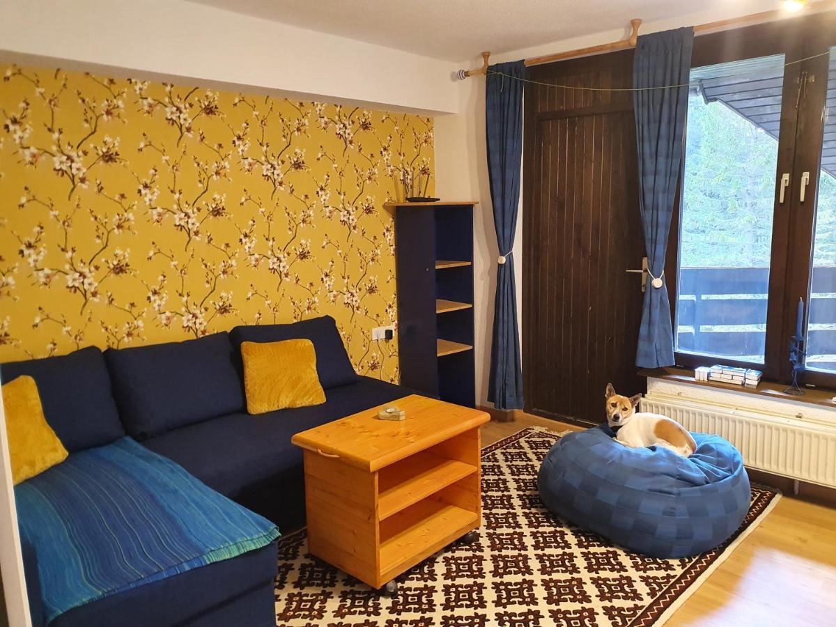 M & M Apartment Krvavec Cerklje na Gorenjskem Exterior foto